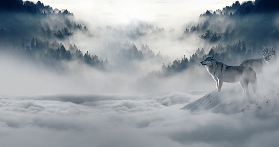 雨后登惠山最高顶